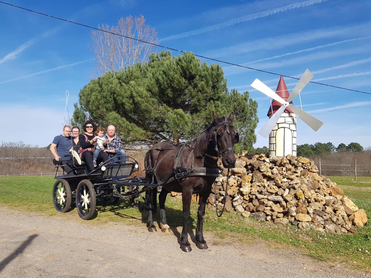 Gite Equestre Domaine Des Crins - Monpazier Capdrot Exterior photo