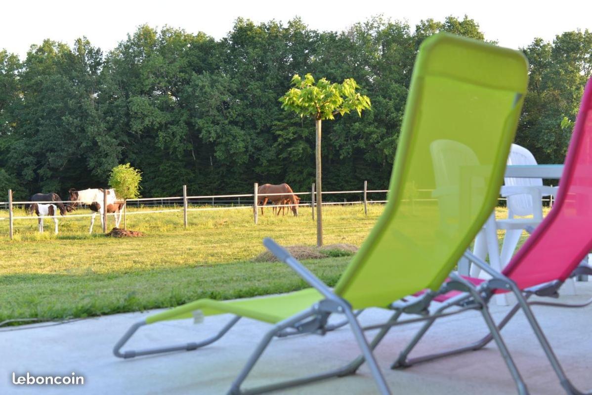 Gite Equestre Domaine Des Crins - Monpazier Capdrot Exterior photo
